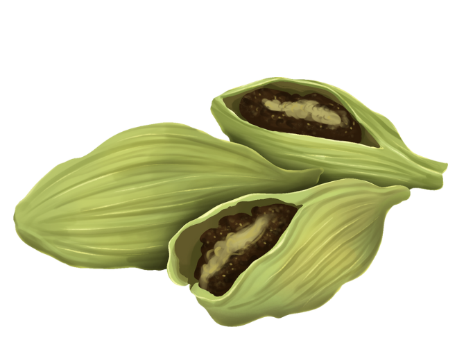Cardamom