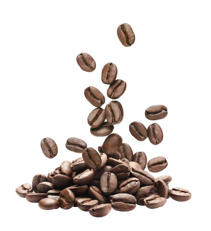 Coffee Powder