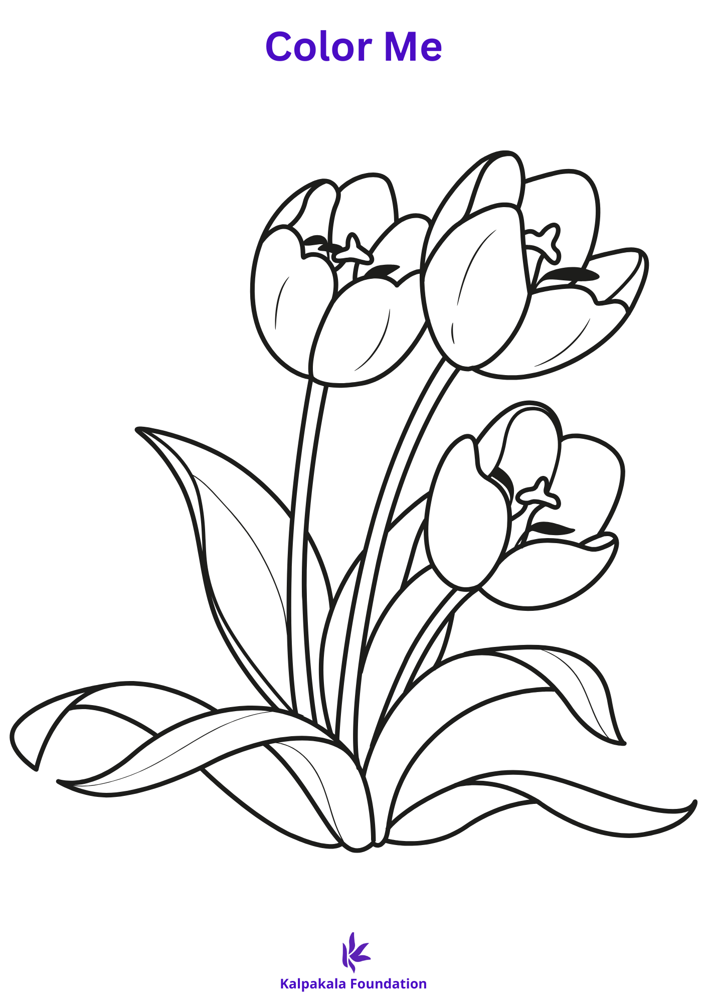 Colouring books