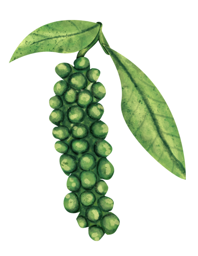 Pepper